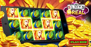 3333btd